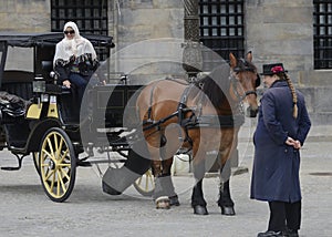 Horse and buggy in Amsterdam, Netherlands