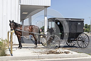 Horse and Buggy in northern Indiana. Horse-drawn vehicles have the same rights and responsibilities as any other vehicle