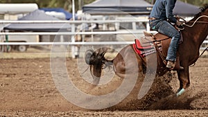 Horse In Calf Roping Event At Australian Country Rodeo