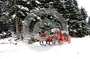 Horse car in the Abant Lake