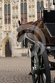 Horse carriage