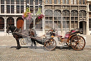 Horse Carriage