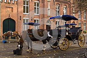 Horse and carriage