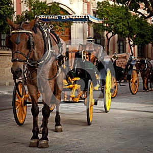 Horse carriage