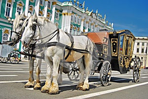 Horse carriage