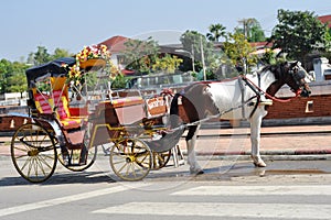 Horse carriage