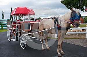 Horse carriage