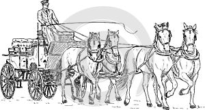 Horse carriage photo