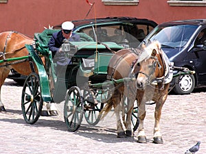 Horse carriage