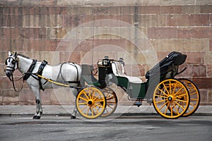 Un caballo transporte 