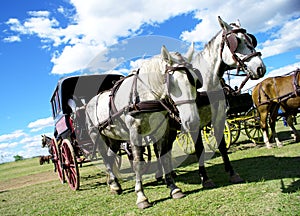HORSE CARRIAGE photo