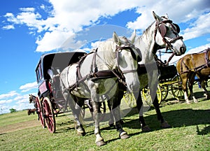 HORSE CARRIAGE