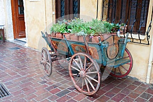 Horse carriage