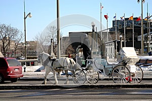 Horse and Carriage