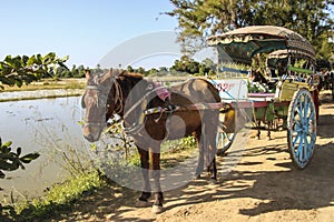 Horse carriage at the Bagan Archaeological Zone, Myanmar Burma