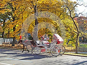 Horse carriage in Central Park