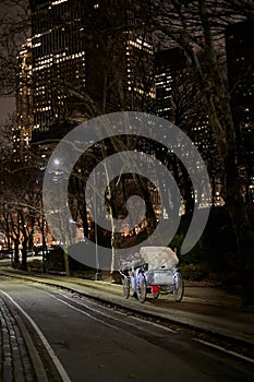 Horse carriage in central park at night