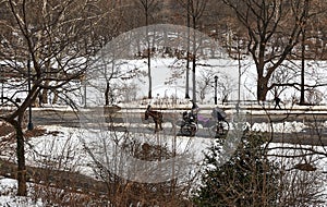 Horse carriage in central park, New York in winter