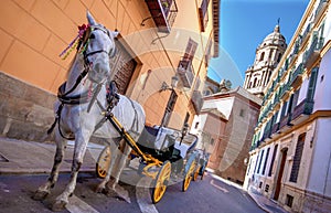 Horse and carriage in the city streets in Malaga, Spain photo