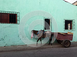 Horse and carriage, Cuban style