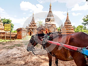 Horse carriage and Daw Gyan Pagoda complex, Ava, Myanmar 1