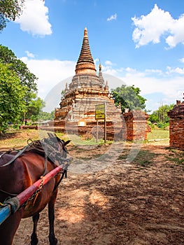 Horse carriage and Daw Gyan Pagoda complex, Ava, Myanmar 4