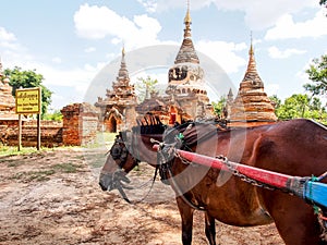 Horse carriage and Daw Gyan Pagoda complex, Ava, Myanmar 1 photo