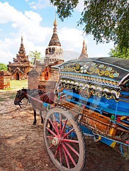 Horse carriage and Daw Gyan Pagoda complex, Ava, Myanmar 6 photo