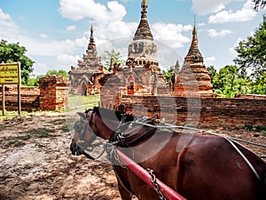 Horse carriage and Daw Gyan Pagoda complex, Ava, Myanmar 6 photo