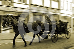 Horse carriage driving photo