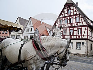 Horse Carriage and Frame Houses
