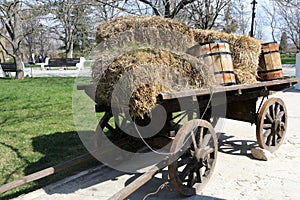 Horse carriage with hay
