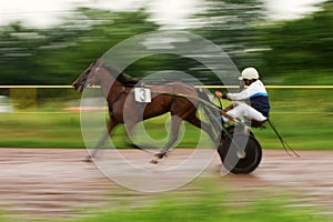 Horse carriage and jockey