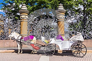 Horse carriage near the Church of the Savior on Blood in St. Pet