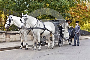 Horse Carriage with old fashioned dressed couple