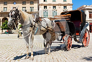 Horse carriage in Old Havana