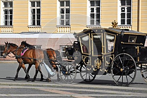Horse carriage, Palace square, St.Petersburg