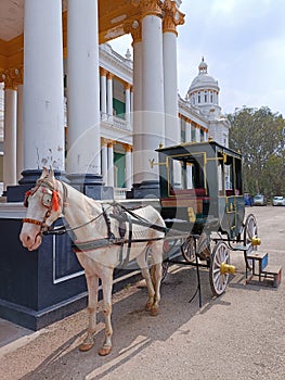 A horse carriage parked in the premises of Lalitha Mahal Palace Hotel