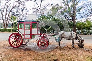 Horse carriage in Pyin Oo Lwin town, Myanm