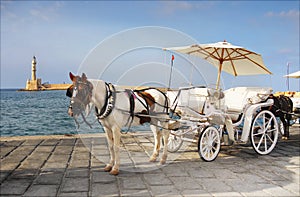 Horse Carriage Ride