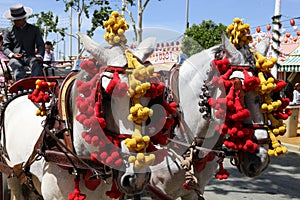 Horse and carriage ride at the Seville fair