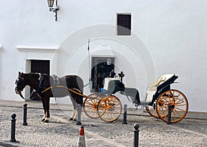 Horse and Carriage in Ronda photo