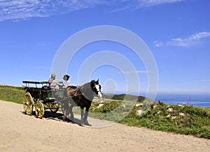 Horse carriage in Sark