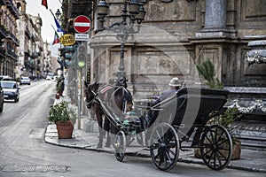 Un cavallo trasporto 