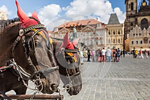 Horse Carriage waiting for tourists at the Old Square in Prague.