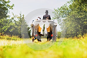 Horse carriage wedding in garden, Great Britain Newly-wed couple in a black, horse-drawn, open carriage Beautiful sunny day photo