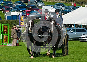 Horse and Carriage at Westmorland show