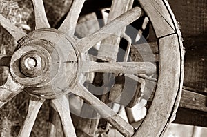 Horse Carriage wheel