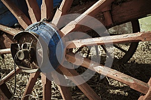 Horse carriage wheel