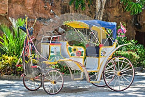 Horse carriages for tourist